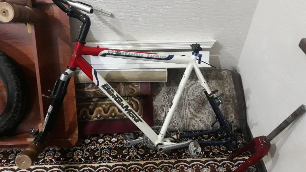 Velo rama bergamont 26