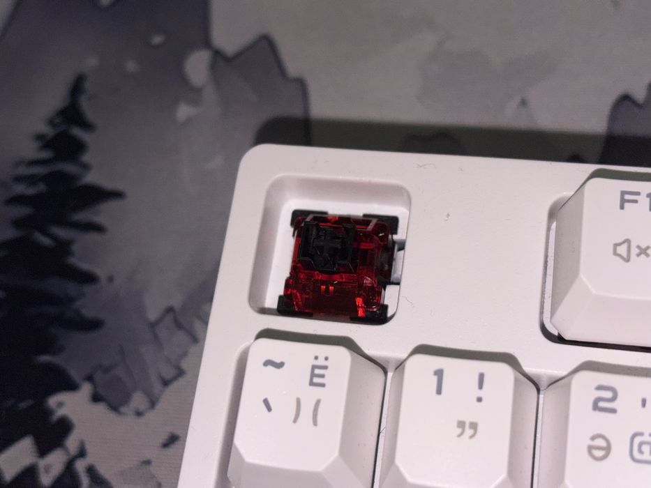 Клавиатура Bloody s87