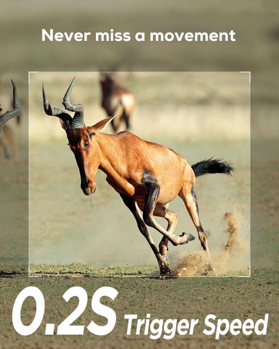 iZEEKER камера за проследяване, HD ловна камера с 940nm без подсветка