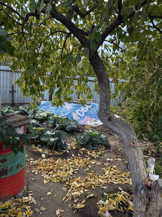 Продается ухоженная дача
