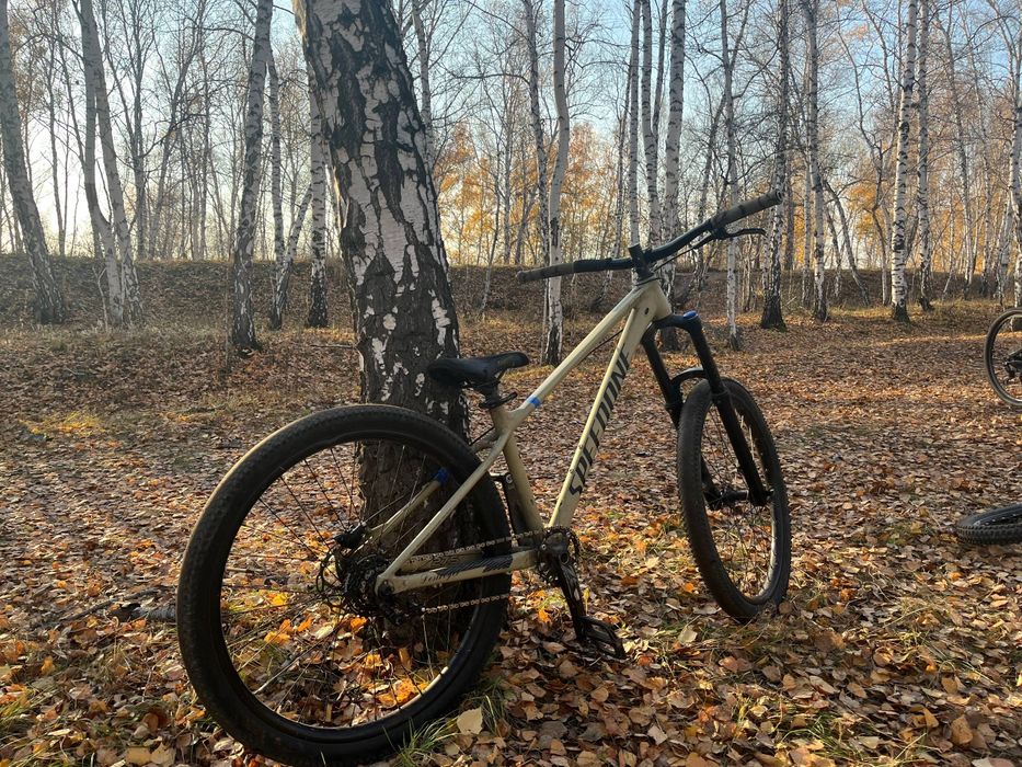 speedone bestroyer 27.5 s
