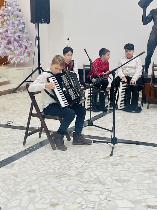 Lectii orga si acordeon