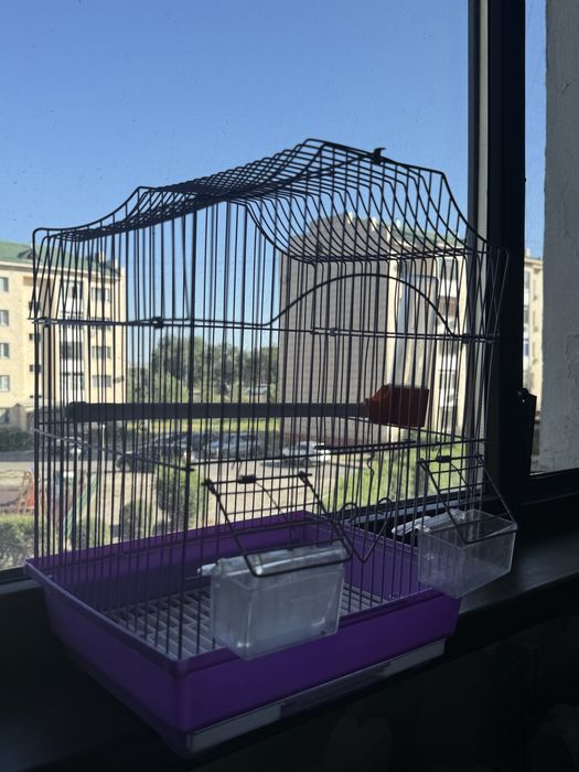 решетка попугая