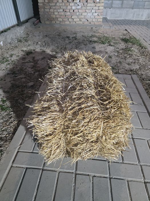 Тюки сено пресс продам