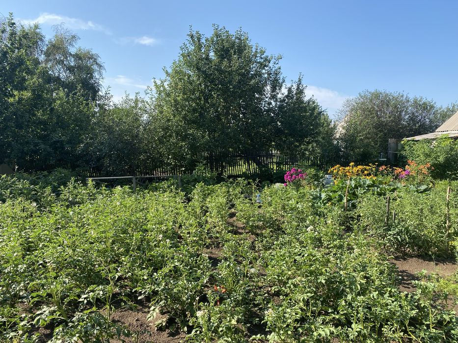 Продам дачу сад Мелиоратор