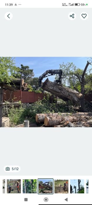 Професионална грижа за вашата градина.Косене,чистене, рязане на опасни