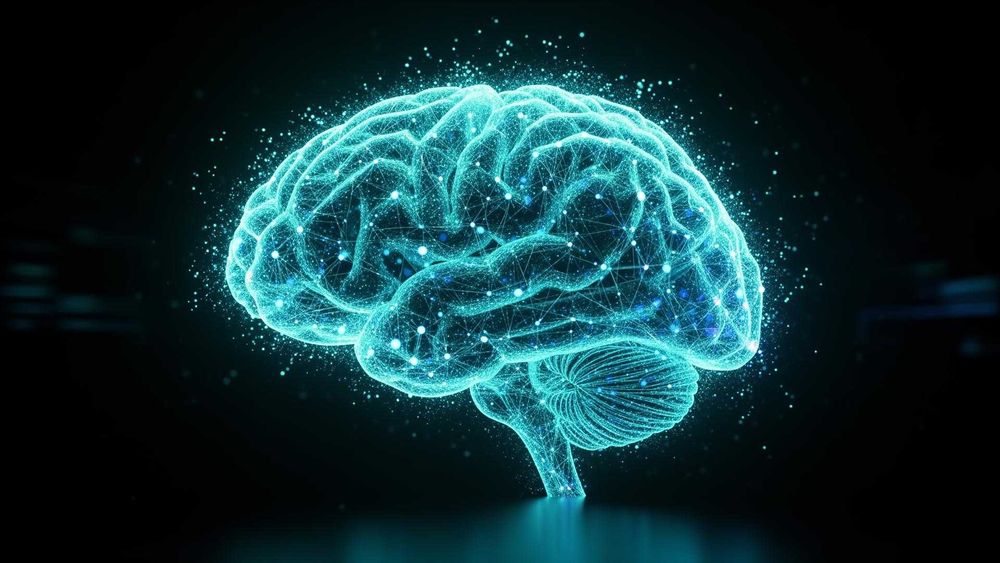 Разработка сайтов | Внедрение AI (ИИ)  Настройка серверов и 1С