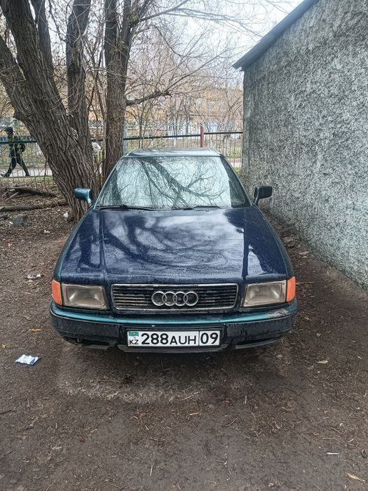 Не в залоге шысти