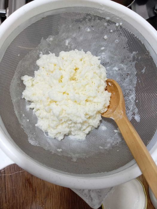 Ciupercă  Kefir (chefir) de lapte două porții