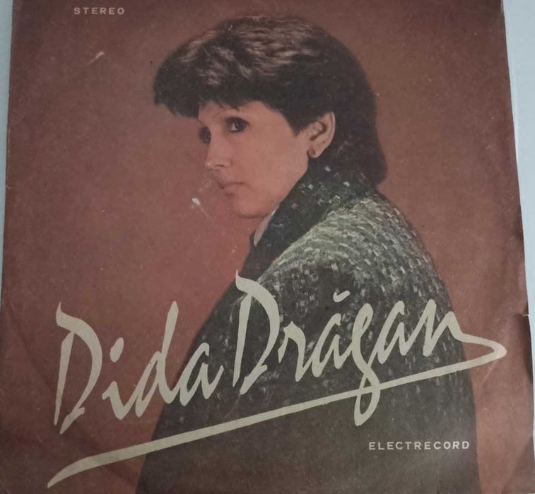 Discuri vinil LP