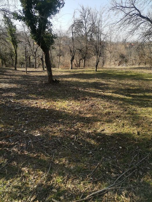 Продавам имот с. Голяма Желязна