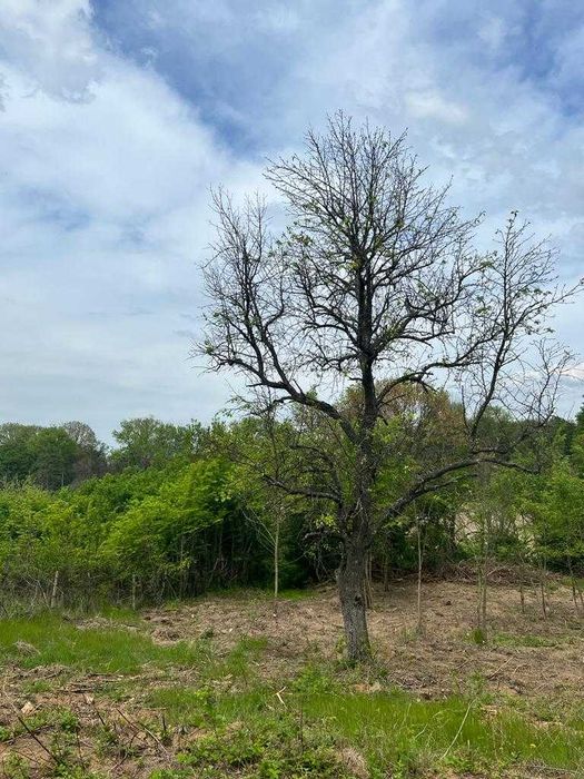 1.6 дк Дворно Място / Парцел в Казанлък зад Художествената Гимназия