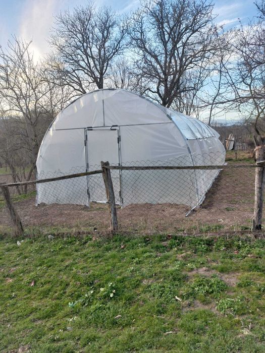 Solarii Legume - Solarii de Gradina - Transport Gratuit