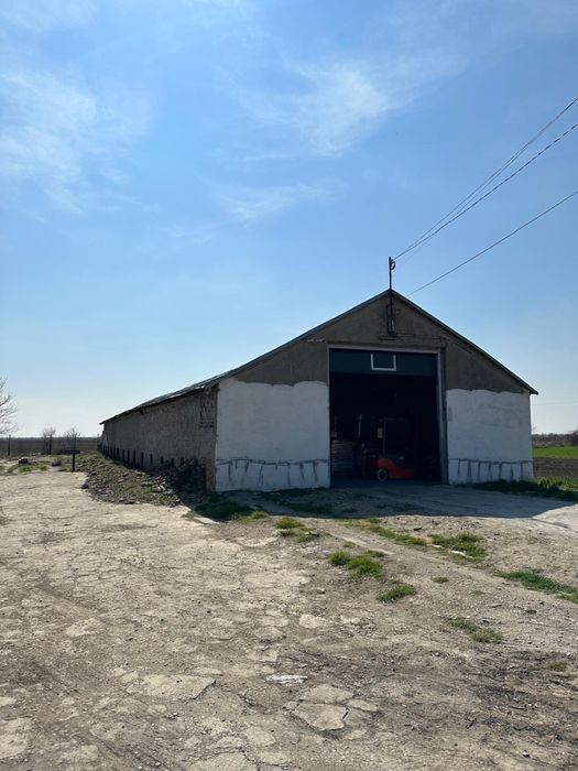 Inchiriez hale depozitare sau teren pt peco la 20 km de Braila