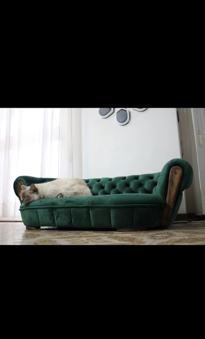 Patut/Canapea animale . Caine/Pisica