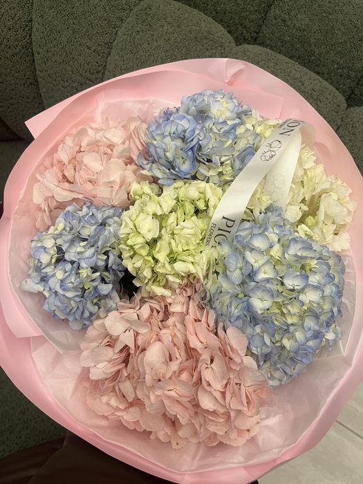 7 штук гортензии