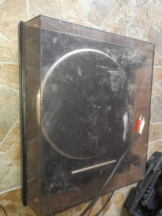 Pikupuri import germania