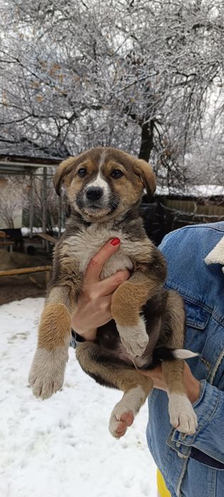 Милый мальчуган.