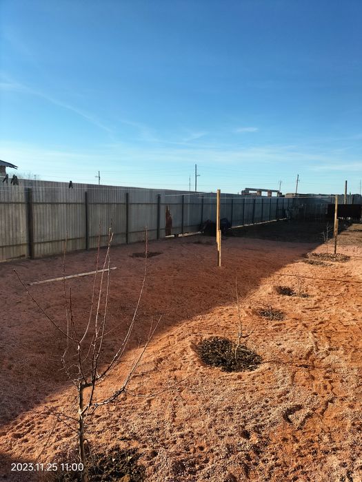 Продается дом в Торангалыке