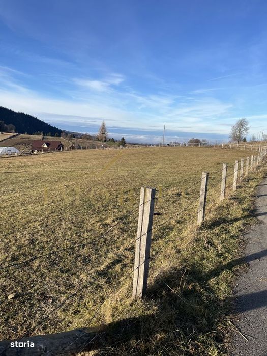 Teren de 4500 mp , zona linistita in Marisel