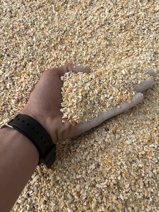 Кукуруза дробленная и цельная