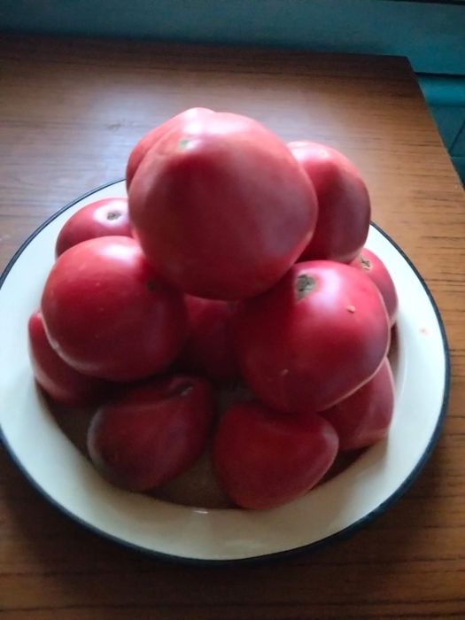 Продам Вкусные, Сочные Домашние Помидоры