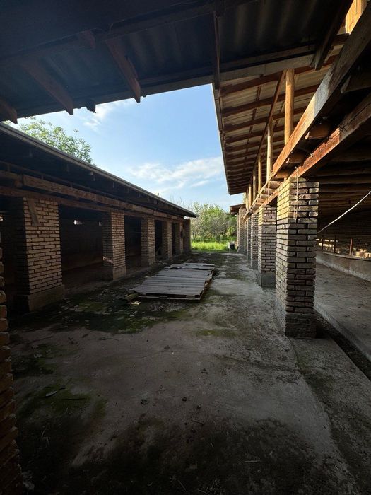 Molxona arendaga beriladi
