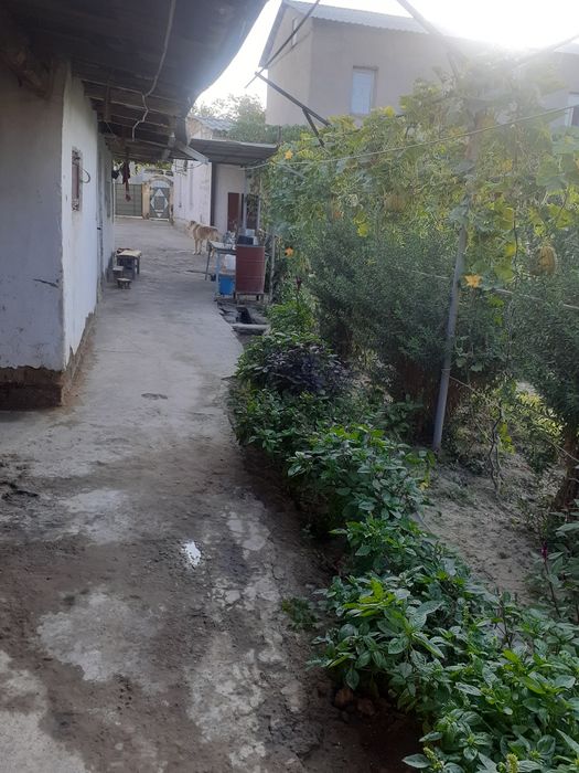 Двухэтажный коттедж