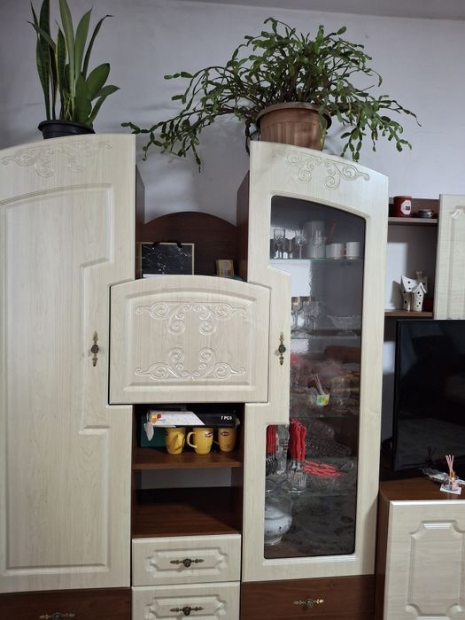 Стенка для зала под телевизор и посуду