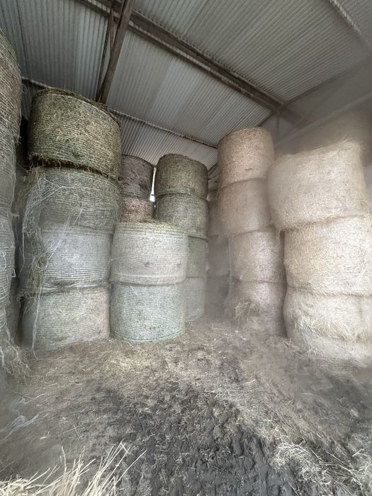 Baloti de paie, lucerna, fan