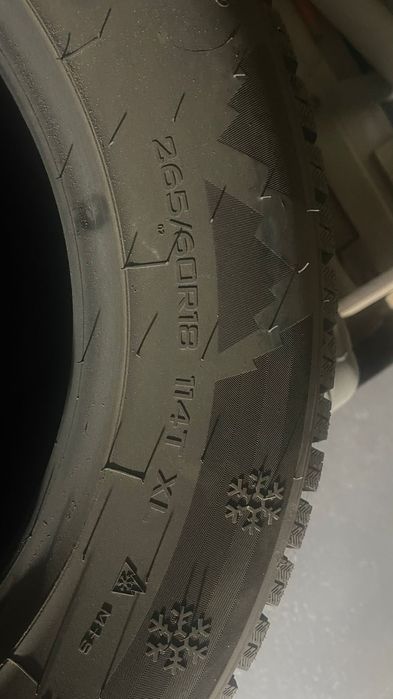 Зимние шины с шипами