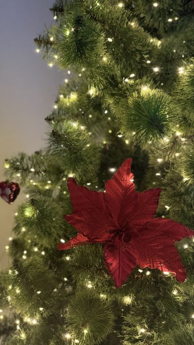 Продам елку, елка