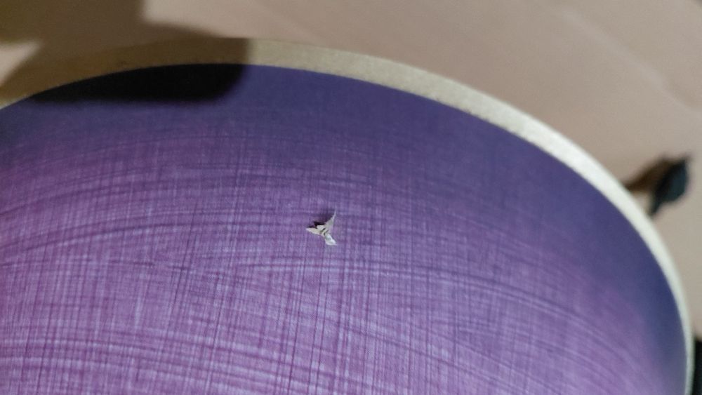 Нощни лампи. 2 броя. С лилав абажур.