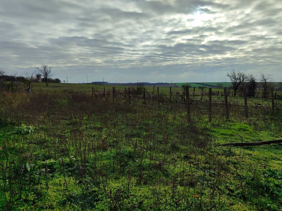 Продава се Къща в с. Гешаново, Област Добрич - 100 кв.м за 67 €/кв.м - Снимка #22