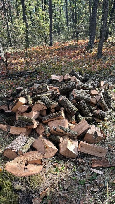 Lemne de foc pret super