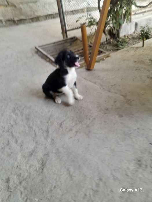 Отдадим в ответственные руки!