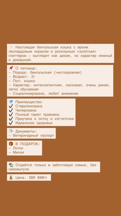 Бенгальская кошка