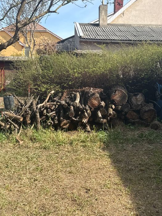 Lemne de foc rezultat din taieri pomi fructiferi