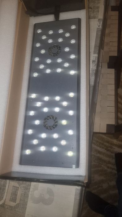 Соленоводен аквариум