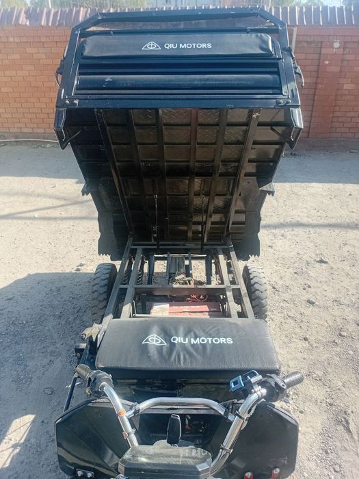 Электронной муравей 1000$