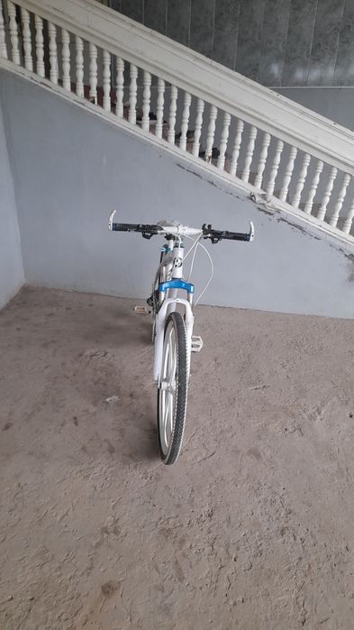 Велосипед углимники