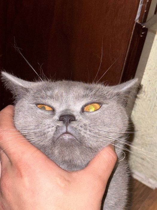 Kichkina qiz bilan onlayn video jinsiy aloqa