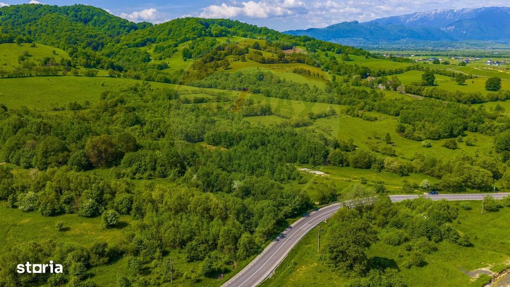 Teren 1ha Valea Glăjeriei - Rasnov | Comision 0%