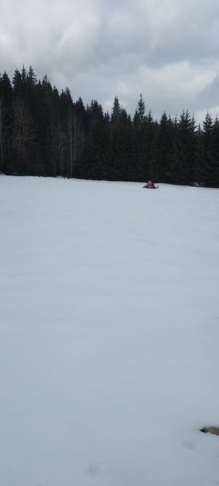 Schimb casa la munte