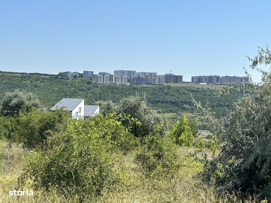 41.500 e Teren Iasi-Rediu intravilan platou Beldiman 650 mp zona noua