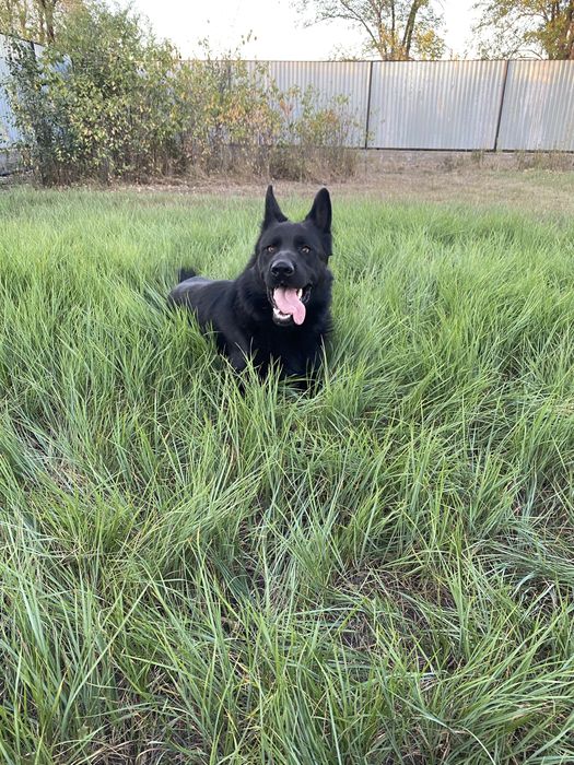 Вязка Кабель 6 лет. Бесплатно.