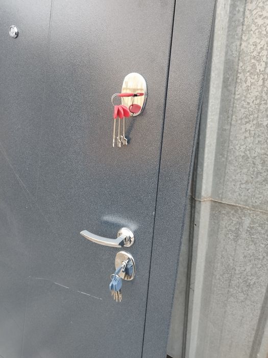 Входная металлическая дверь