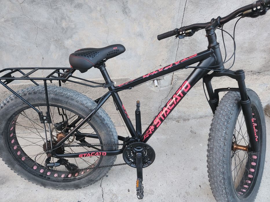 Велосипед 3 вида и канарейка