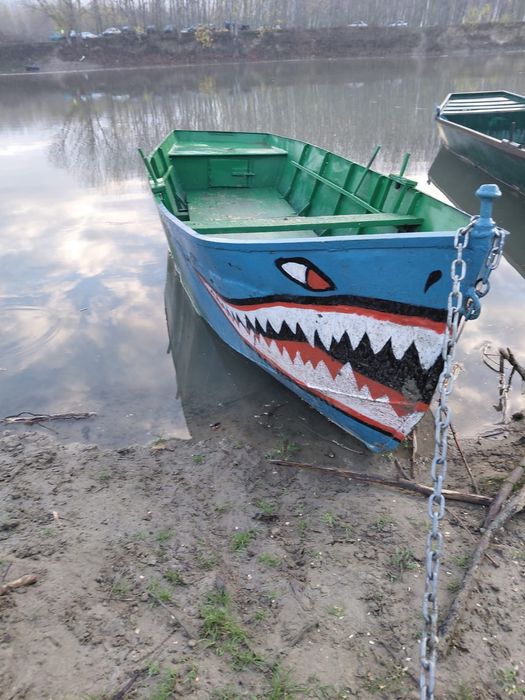 Barca tabla de vanzare