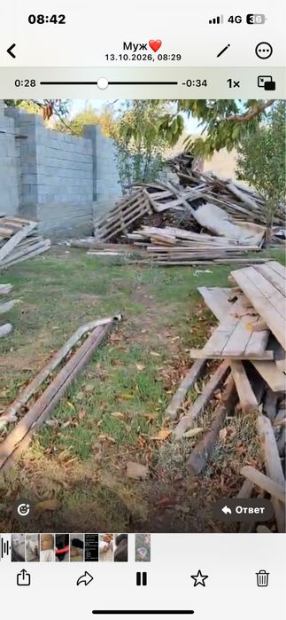Ағаштар тегін беріледі . Келіп алып кетсеңіздер болды